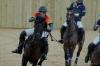 Oxford Polo 2023_01_22 0003